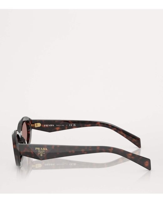 Prada Brown Acetate Pr26Zs Sunglasses