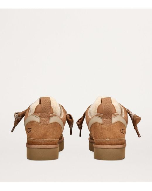 Ugg Brown Lowmel Sneakers