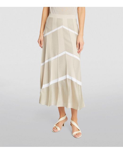 D.exterior Natural Striped Pleated Skirt