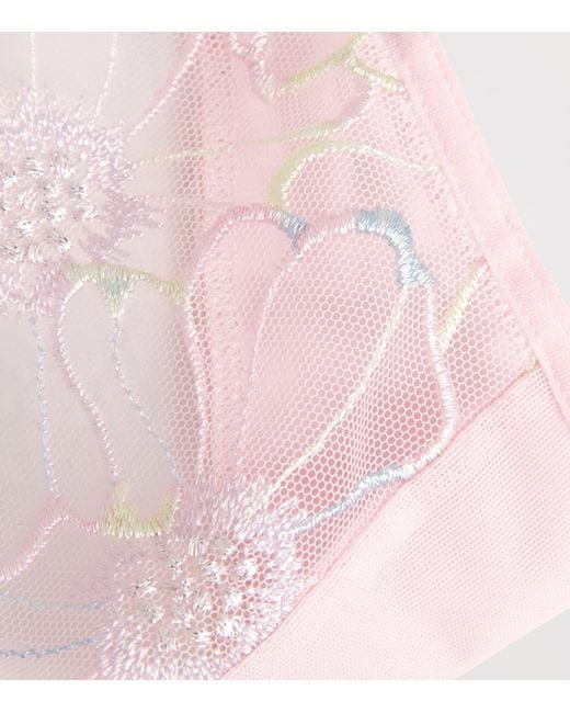 Chantelle Pink Pulp Lush Thong