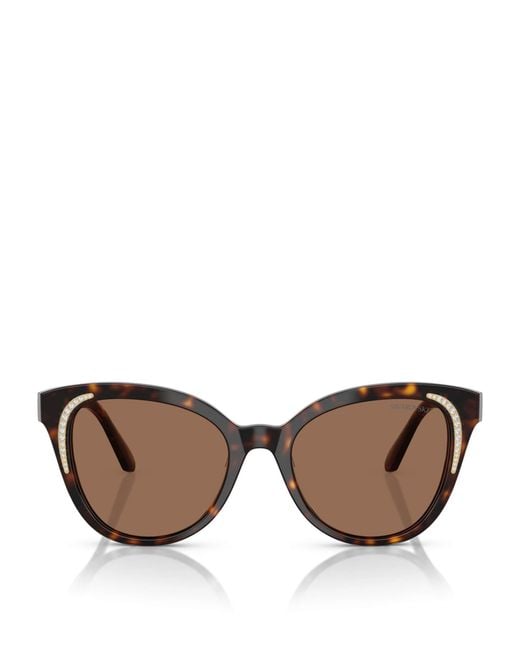 Swarovski Brown Acetate Sk6031 Sunglasses
