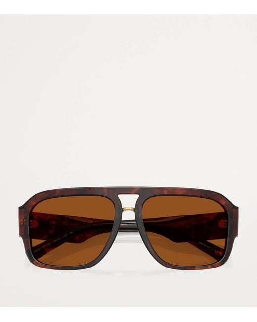 Dolce & Gabbana Brown Acetate Pilot Sunglasses for men