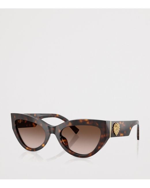 Dolce & Gabbana Brown Tortoiseshell Cat-Eye Sunglasses