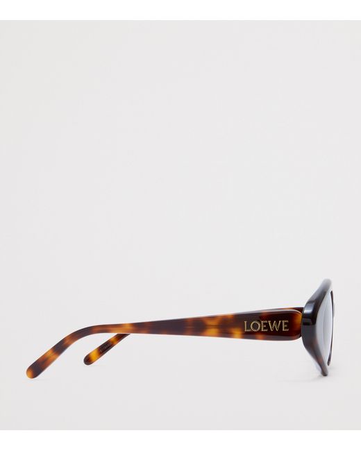 Loewe Brown Acetate Triangle Slim Sunglasses