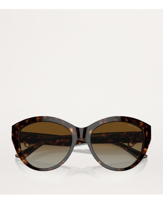 Jimmy Choo Brown Acetate Jc5007 Sunglasses