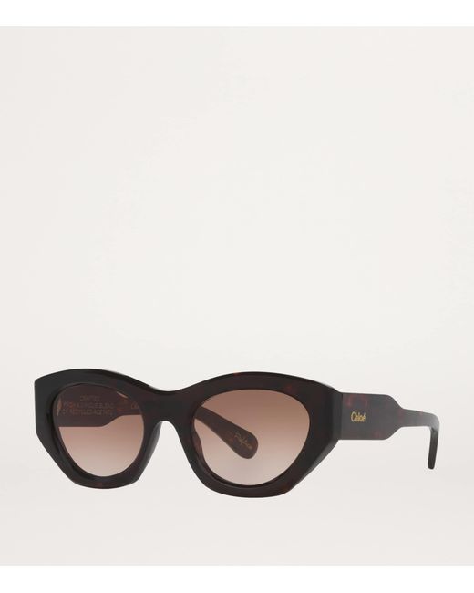 Chloé Brown Acetate Ch0220S Sunglasses