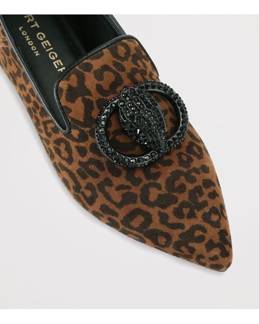 Kurt Geiger Brown Suede Chelsea Point Loafers