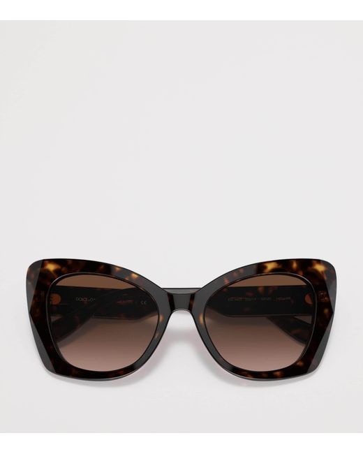 Dolce & Gabbana Brown Acetate Butterfly Sunglasses