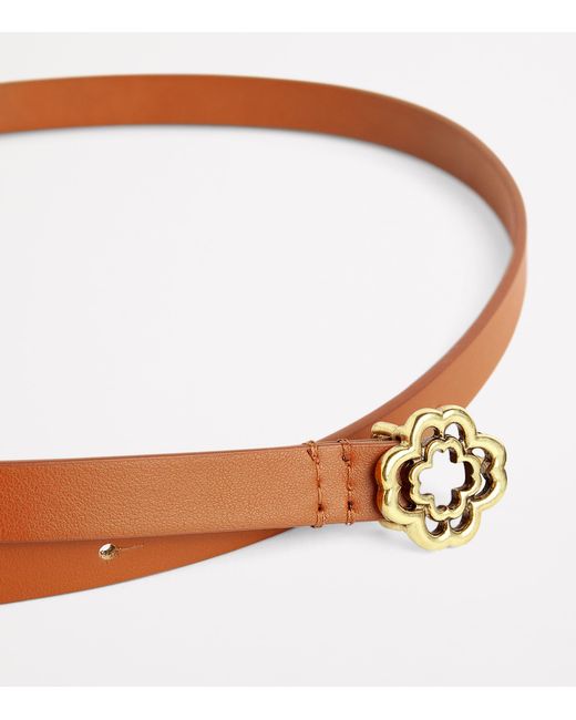 Maje Brown Leather Logo Thin Belt