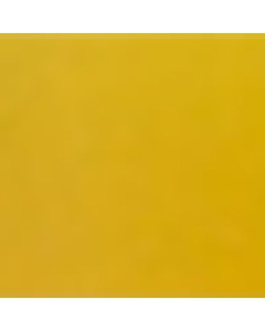 Christopher Esber Yellow Jo Flip Flops
