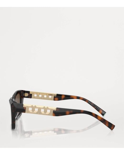Tiffany & Co Brown Acetate Rectangular Sunglasses
