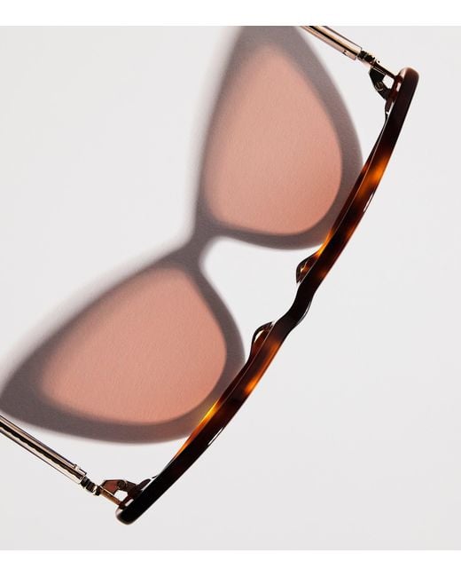 Maje Brown Acetate Cat Eye Sunglasses