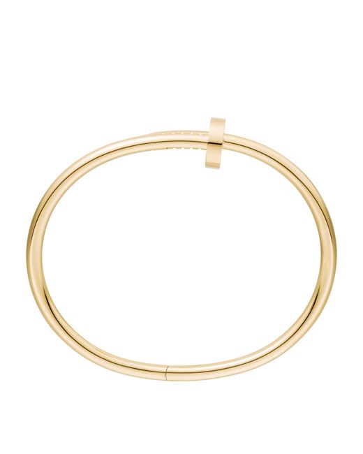 Cartier Metallic Juste Un Clou Bracelet
