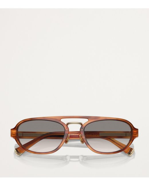 Brunello Cucinelli Brown Acetate Bc4008S Sunglasses