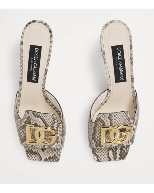 Dolce & Gabbana Multicolor Snakeskin Abaya Sandals 60