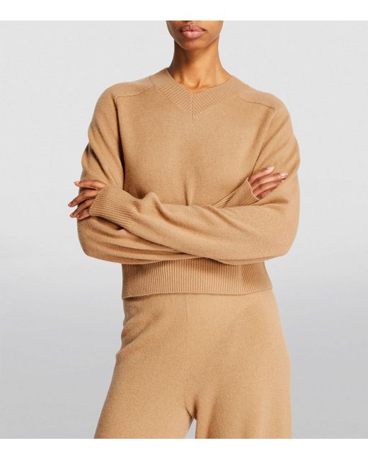 Drake 2025 in sweater