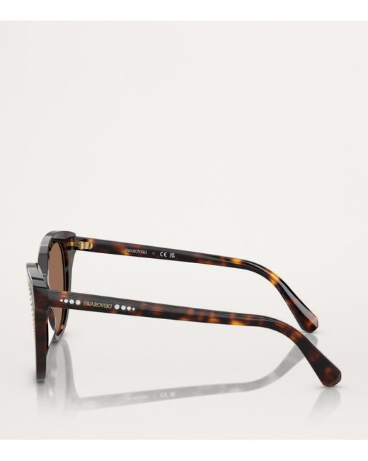 Swarovski Brown Acetate Sk6031 Sunglasses