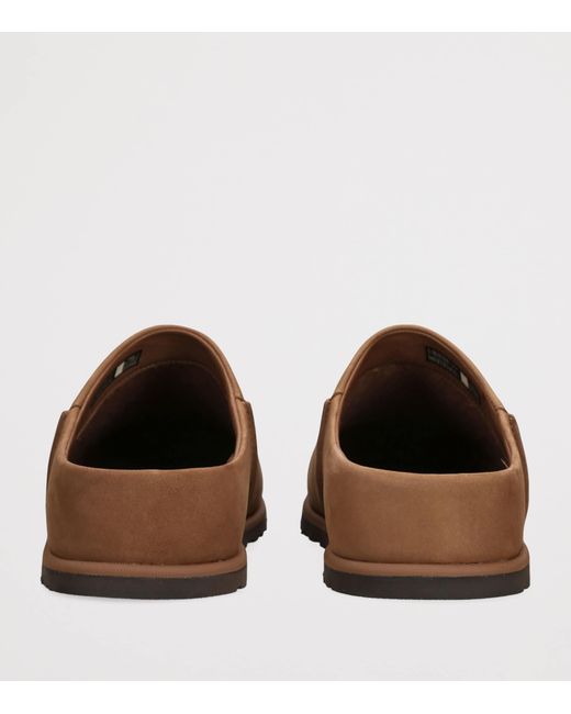 Ugg Brown Suede Otzo Clogs for men