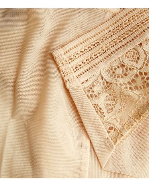 Wacoal Natural Lace-Trim Raffine Briefs