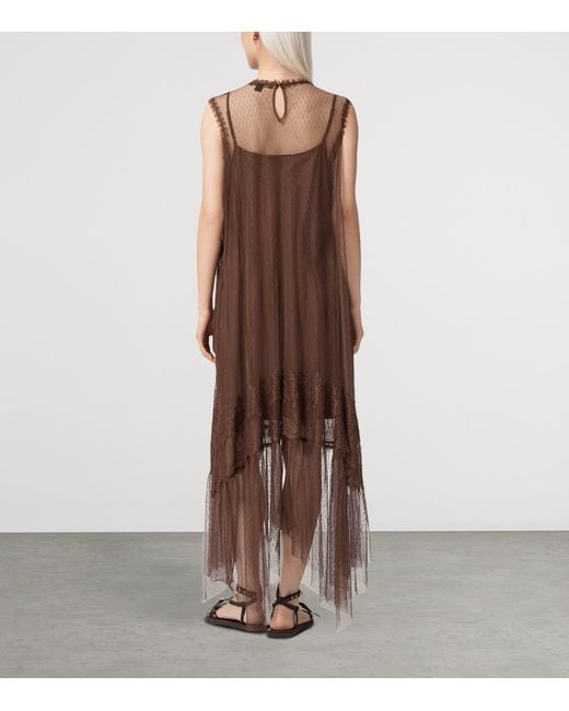 AllSaints Brown Tulle Lace-Trimmed Clara Midi Dress