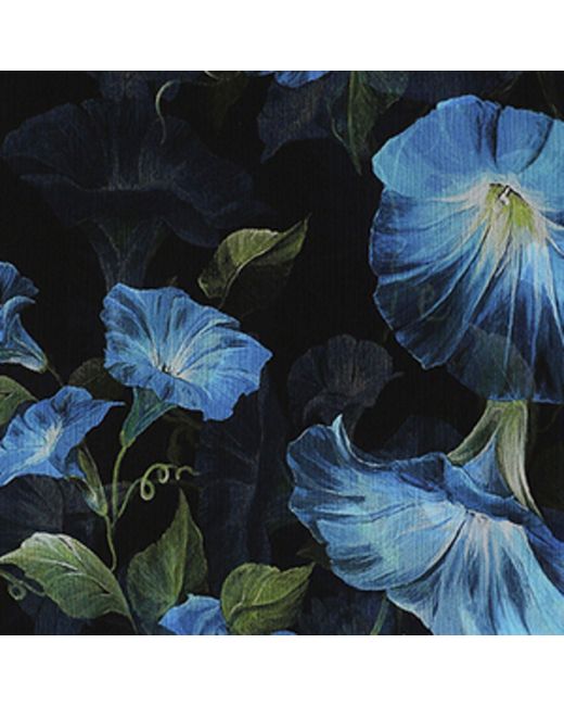 Dolce & Gabbana Blue Silk Crepon Foulard Floral Print Scarf