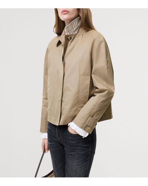 Burberry Natural Tropical Gabardine Jacket