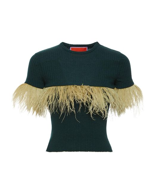 LaDoubleJ Green Cashmere-silk Feather-trim T-shirt