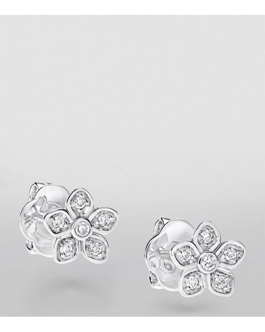 Graff White And Diamond Wild Flower Stud Earrings