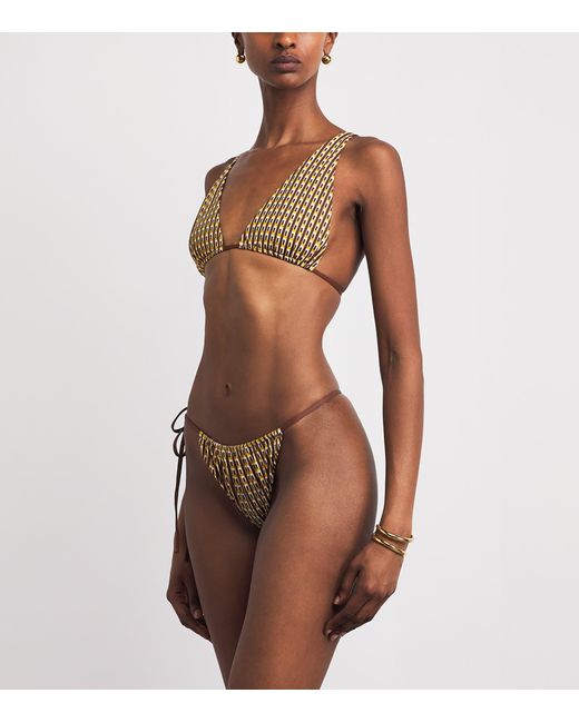 Sir Brown Geometric Cooper Bikini Bottoms