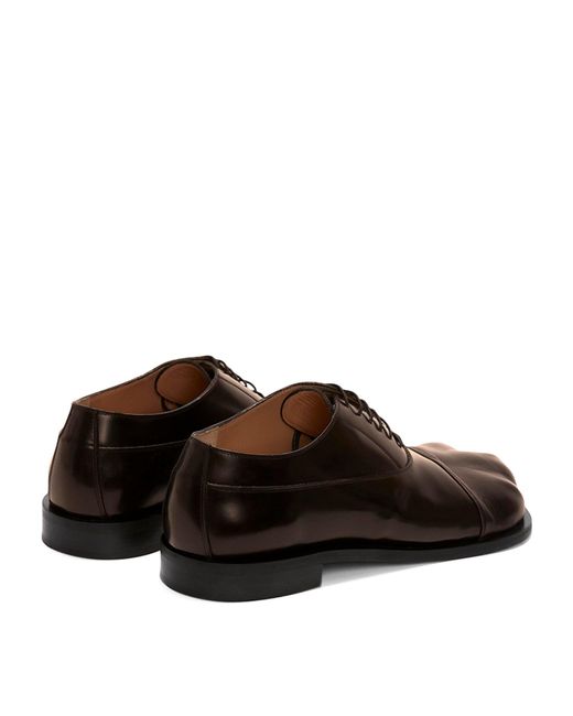 J.W. Anderson Brown Leather Paw Derby Shoes for men