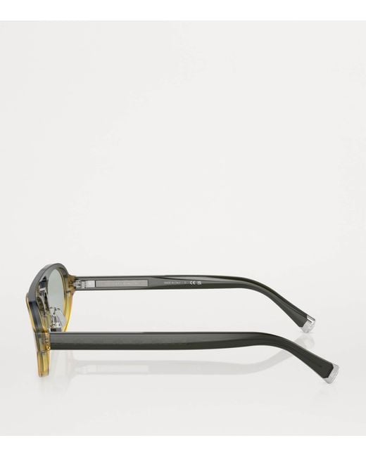 Brunello Cucinelli Green Acetate Bc4008S Sunglasses