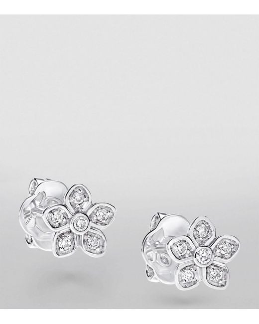 Graff White Gold And Diamond Wild Flower Stud Earrings