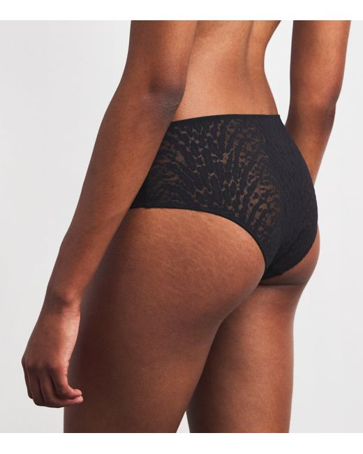 Wolford Black Animaliers Briefs