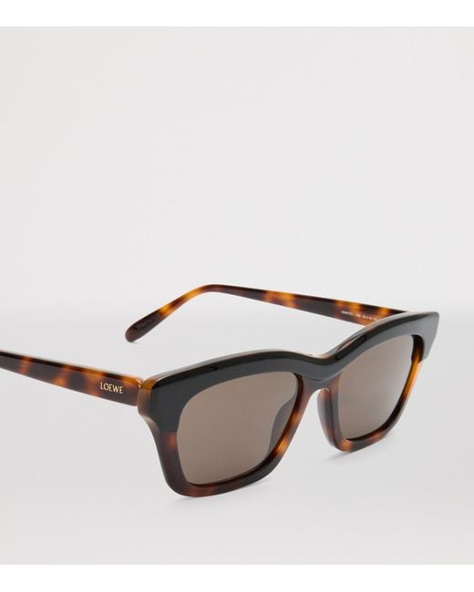 Loewe Brown Acetate Sigma Slim Sunglasses for men