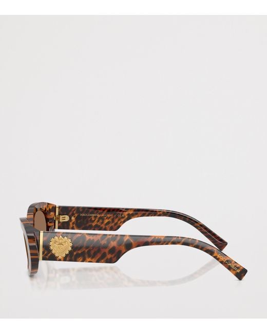Dolce & Gabbana Brown Tortoiseshell Oval Sunglasses