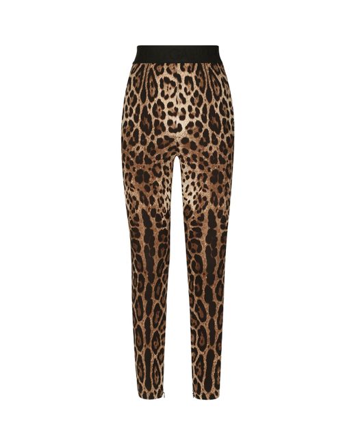 Dolce & Gabbana Multicolor Leopard-Print Leggings