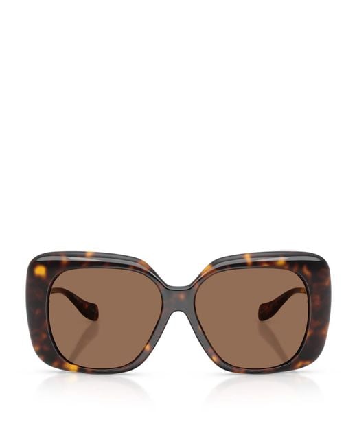 Versace Brown Injected Ve4499U Square Sunglasses
