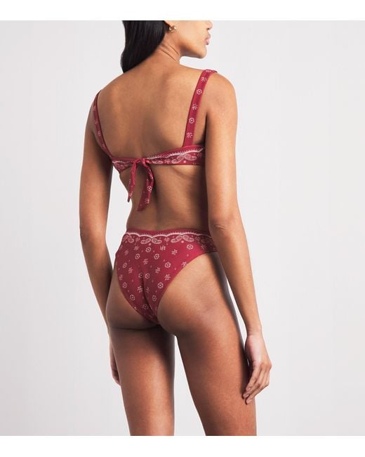 Devon Windsor Red Bandana Larissa Bikini Briefs