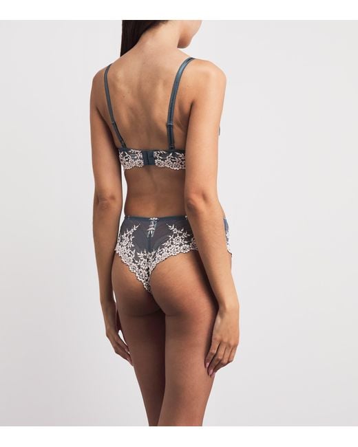 Wacoal Gray Embrace Lace Tanga Briefs