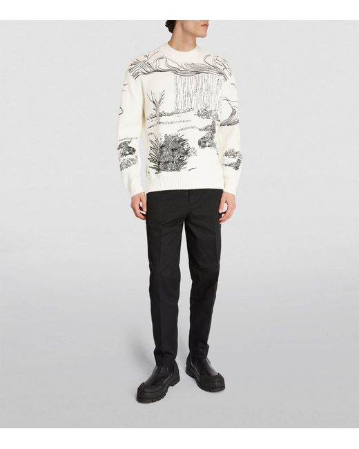 Emporio Armani White Embroidered Nature Sweater for men