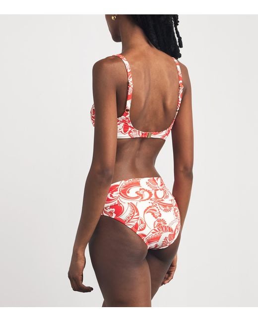 Melissa Odabash Red Floral Bel Air Bikini Top