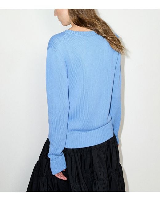 MAX&Co. Blue Cotton Slogan Sweater