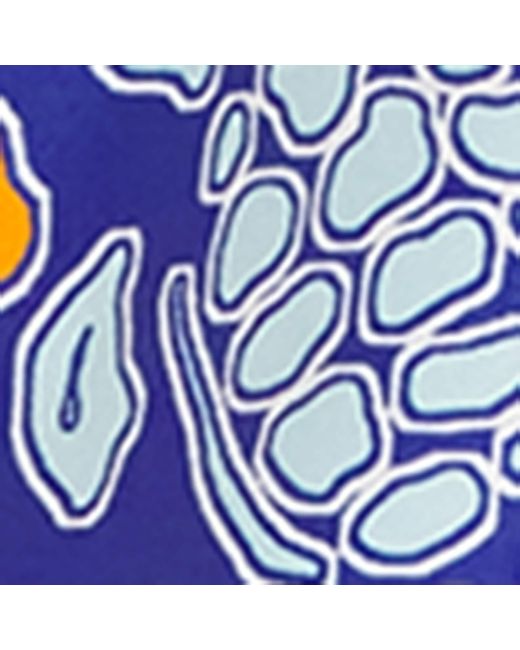 Vilebrequin Blue Tropical Turtle Print Swim Shorts for men