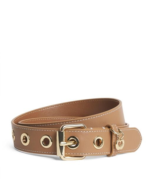Maje Brown Leather Miss M Belt