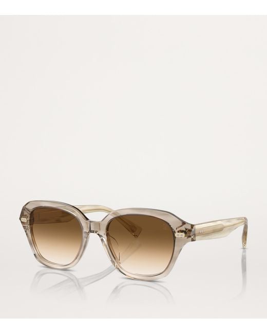 Brunello Cucinelli Brown Acetate Bc4004S Sunglasses