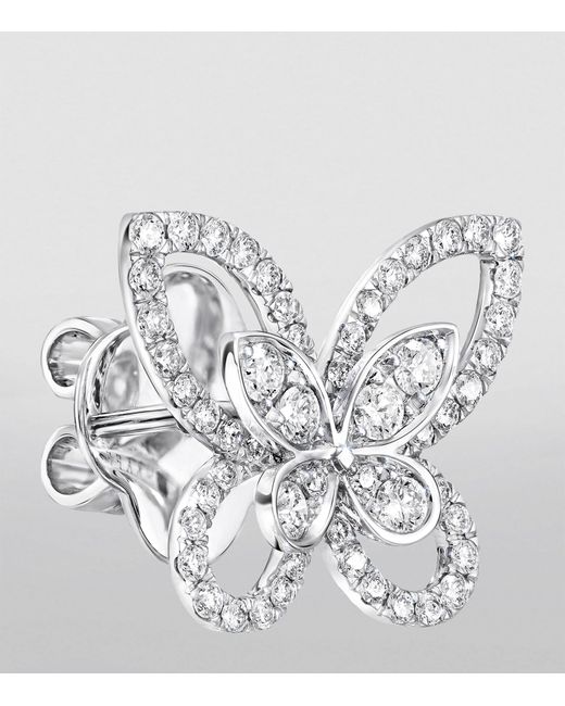 Graff White Gold And Diamond Butterfly Earrings