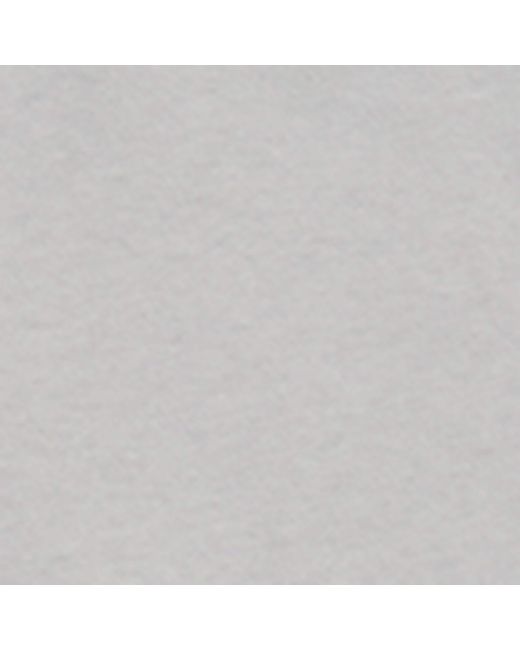 Balenciaga Gray Cotton Vintage Surfer T-Shirt for men