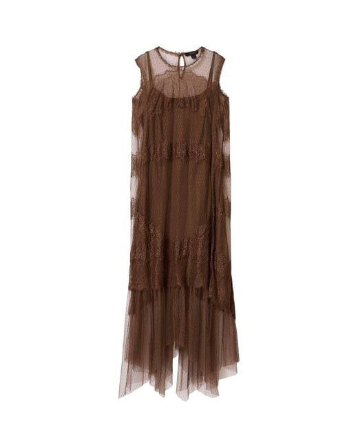 AllSaints Brown Tulle Lace-Trimmed Clara Midi Dress