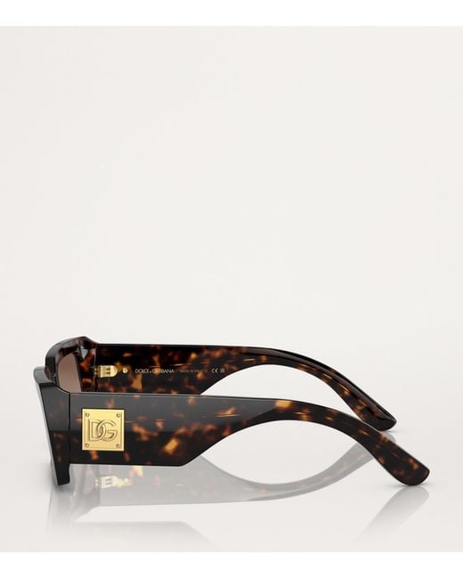 Dolce & Gabbana Brown Acetate Rectangle Sunglasses
