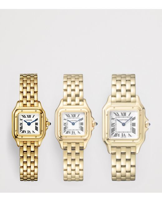 Cartier Metallic Mini Panthère De Watch